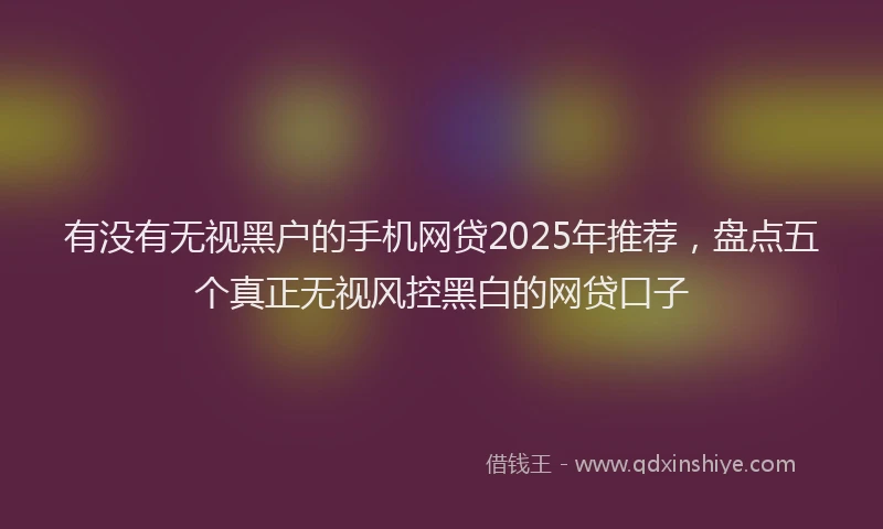 有没有无视黑户的手机网贷2025年推荐，盘点五个真正无视风控黑白的网贷口子