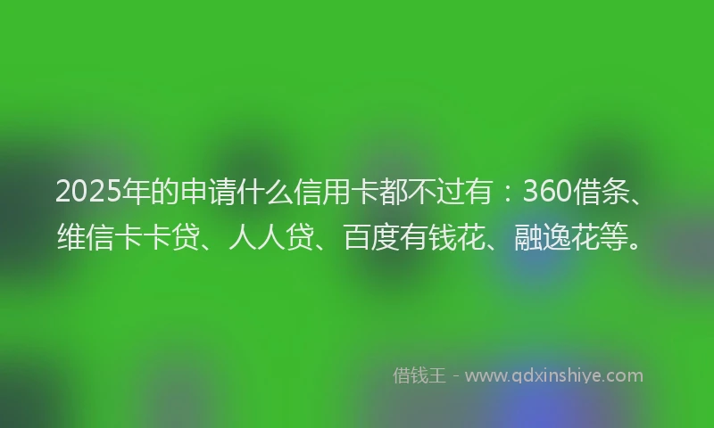 2025年的申请什么信用卡都不过有：360借条、维信卡卡贷、人人贷、百度有钱花、融逸花等。