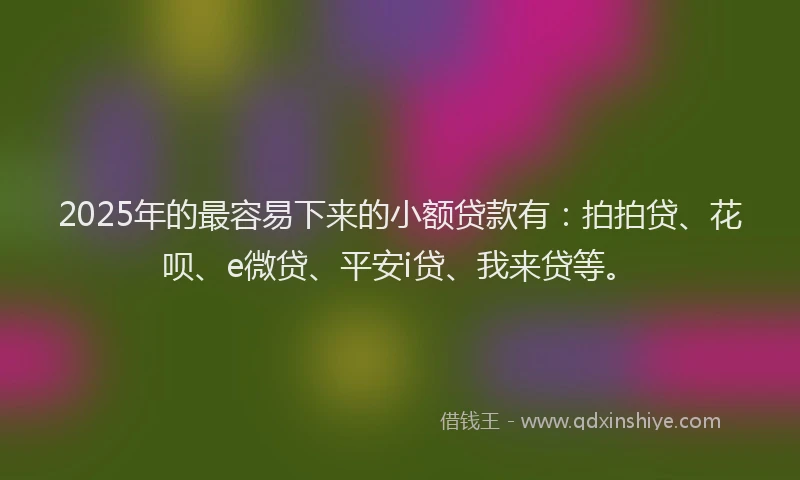 2025年的最容易下来的小额贷款有：拍拍贷、花呗、e微贷、平安i贷、我来贷等。