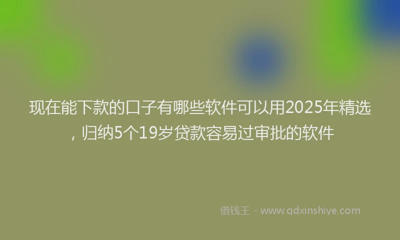 现在能下款的口子有哪些软件可以用2025年精选，归纳5个19岁贷款容易过审批的软件