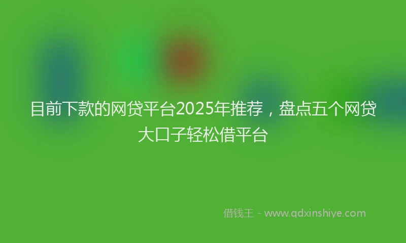 目前下款的网贷平台2025年推荐，盘点五个网贷大口子轻松借平台