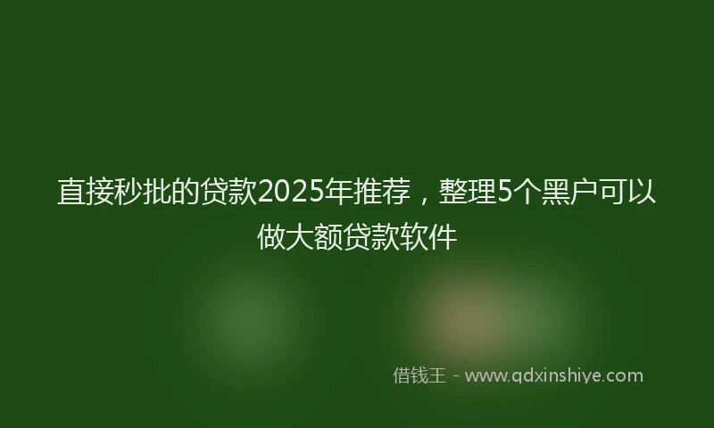 直接秒批的贷款2025年推荐，整理5个黑户可以做大额贷款软件