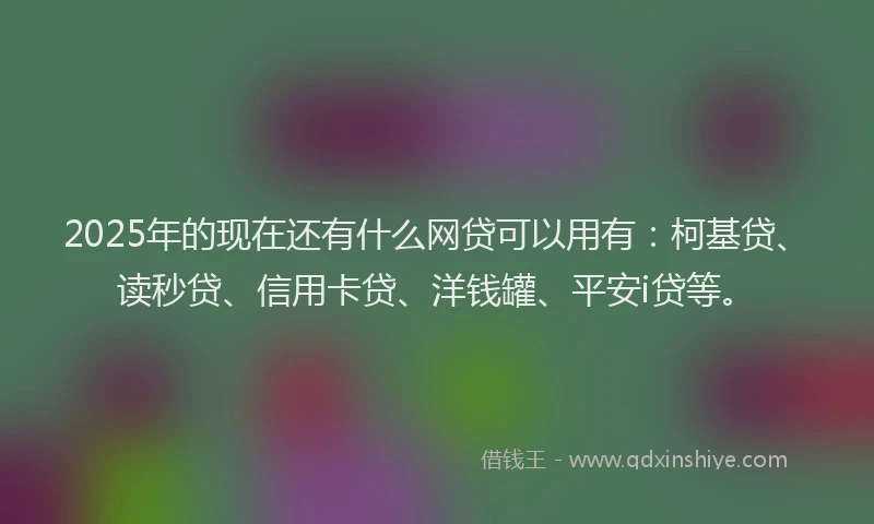 2025年的现在还有什么网贷可以用有：柯基贷、读秒贷、信用卡贷、洋钱罐、平安i贷等。