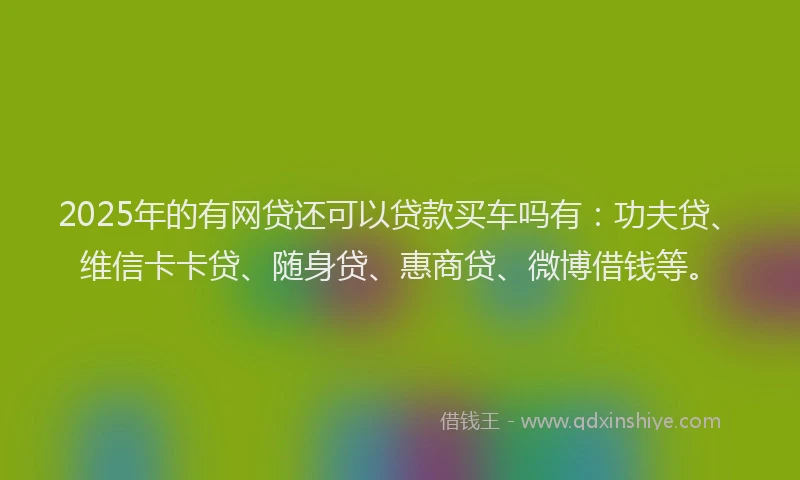 2025年的有网贷还可以贷款买车吗有：功夫贷、维信卡卡贷、随身贷、惠商贷、微博借钱等。