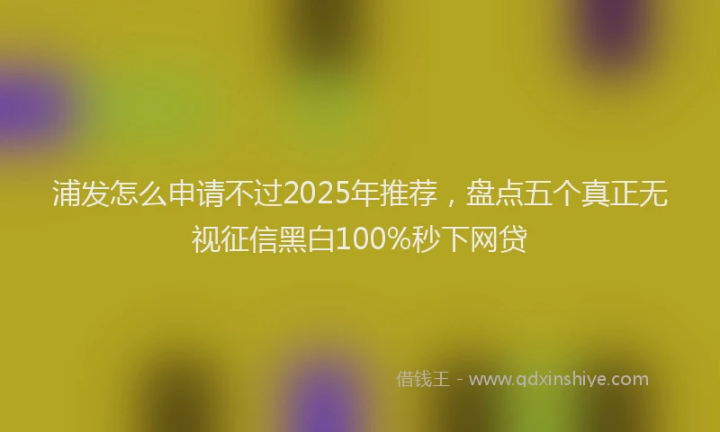 浦发怎么申请不过2025年推荐，盘点五个真正无视征信黑白100%秒下网贷