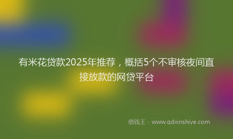 有米花贷款2025年推荐，概括5个不审核夜间直接放款的网贷平台