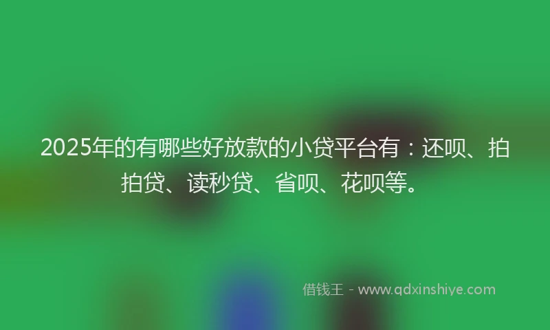 2025年的有哪些好放款的小贷平台有：还呗、拍拍贷、读秒贷、省呗、花呗等。