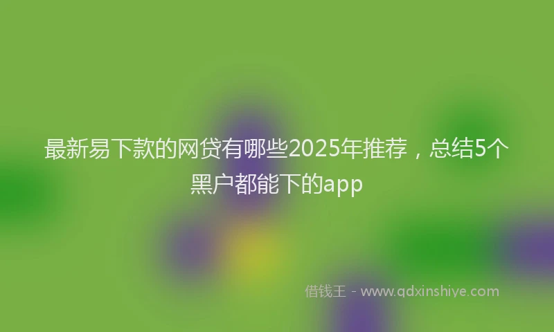 最新易下款的网贷有哪些2025年推荐，总结5个黑户都能下的app