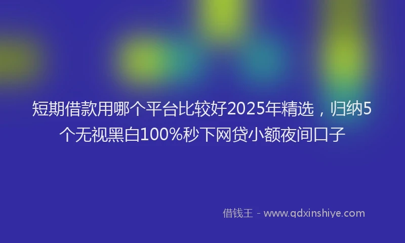 短期借款用哪个平台比较好2025年精选，归纳5个无视黑白100%秒下网贷小额夜间口子