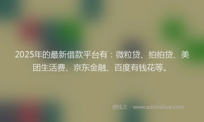 2025年的最新借款平台有：微粒贷、拍拍贷、美团生活费、京东金融、百度有钱花等。