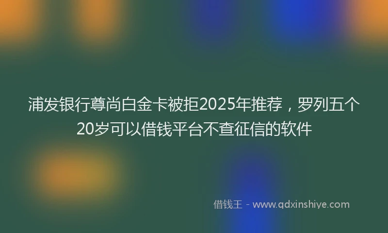 浦发银行尊尚白金卡被拒2025年推荐，罗列五个20岁可以借钱平台不查征信的软件