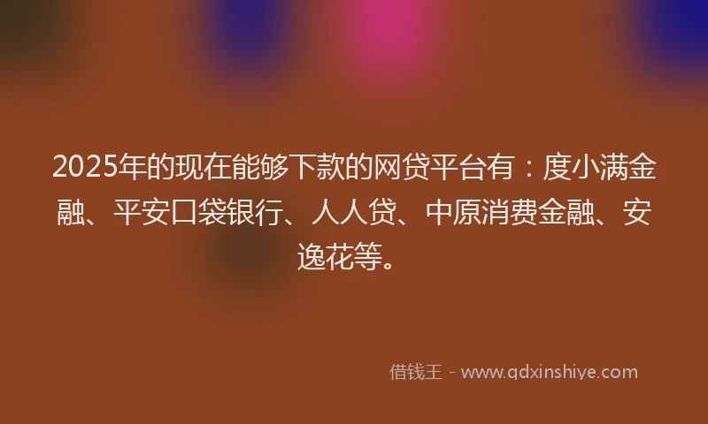 2025年的现在能够下款的网贷平台有：度小满金融、平安口袋银行、人人贷、中原消费金融、安逸花等。