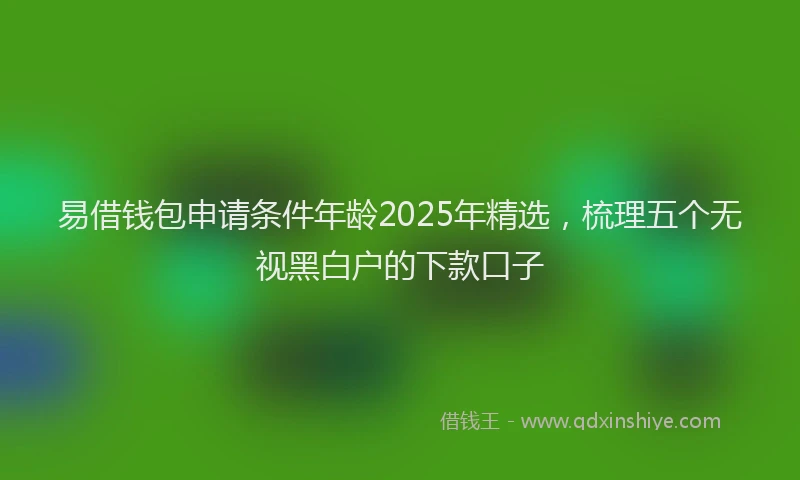 易借钱包申请条件年龄2025年精选，梳理五个无视黑白户的下款口子