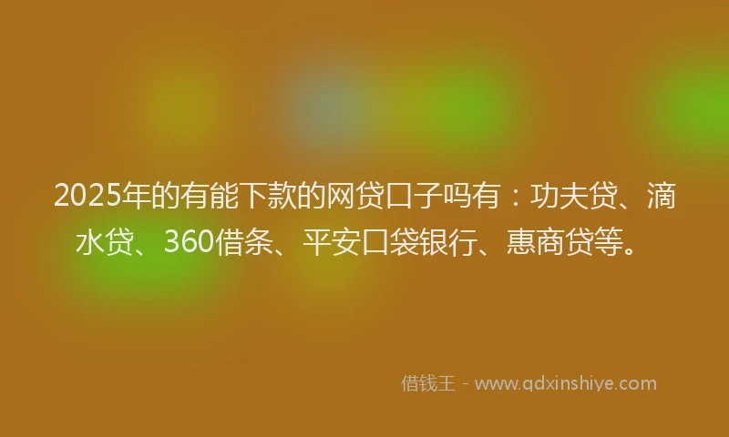 2025年的有能下款的网贷口子吗有：功夫贷、滴水贷、360借条、平安口袋银行、惠商贷等。
