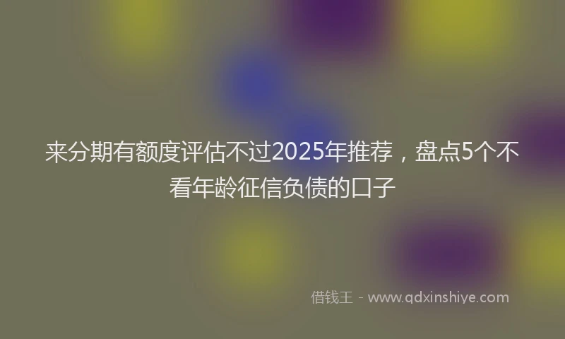 来分期有额度评估不过2025年推荐，盘点5个不看年龄征信负债的口子