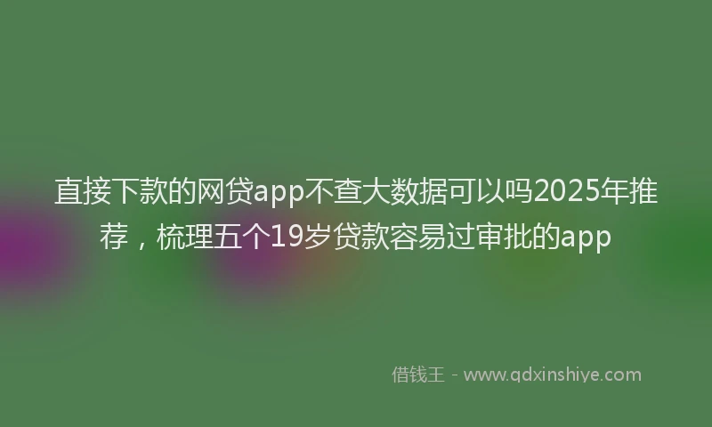 直接下款的网贷app不查大数据可以吗2025年推荐，梳理五个19岁贷款容易过审批的app