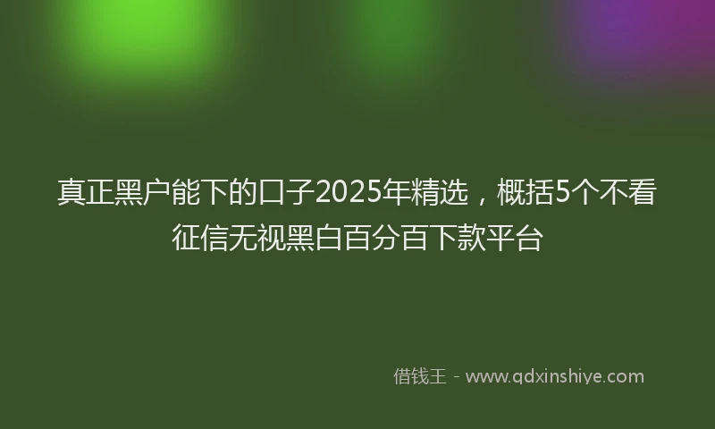 真正黑户能下的口子2025年精选，概括5个不看征信无视黑白百分百下款平台