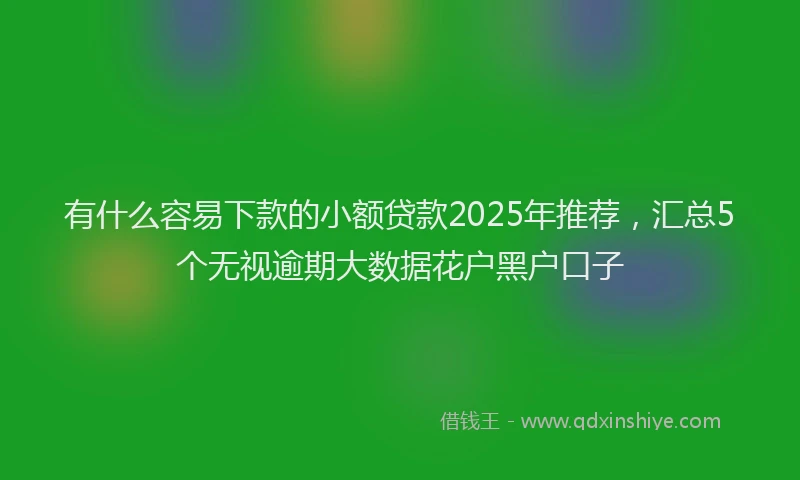 有什么容易下款的小额贷款2025年推荐，汇总5个无视逾期大数据花户黑户口子