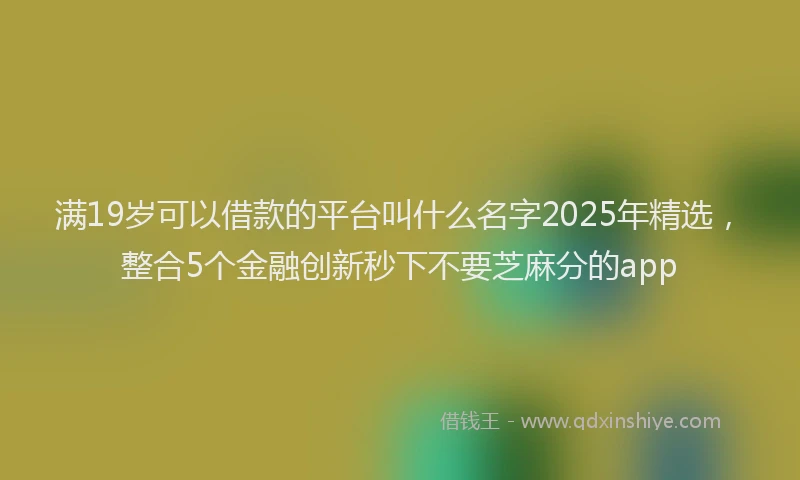 满19岁可以借款的平台叫什么名字2025年精选，整合5个金融创新秒下不要芝麻分的app