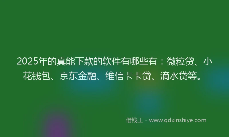 2025年的真能下款的软件有哪些有：微粒贷、小花钱包、京东金融、维信卡卡贷、滴水贷等。