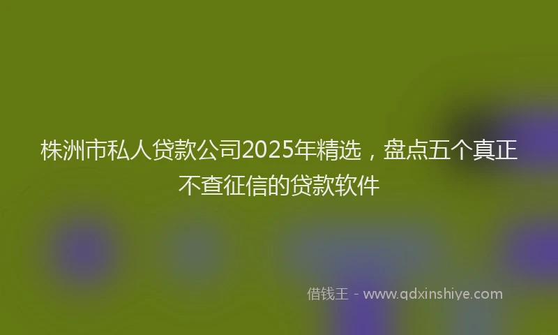 株洲市私人贷款公司2025年精选，盘点五个真正不查征信的贷款软件