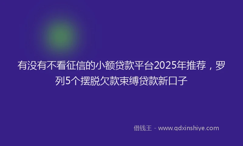 有没有不看征信的小额贷款平台2025年推荐，罗列5个摆脱欠款束缚贷款新口子