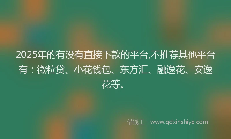 2025年的有没有直接下款的平台,不推荐其他平台有：微粒贷、小花钱包、东方汇、融逸花、安逸花等。