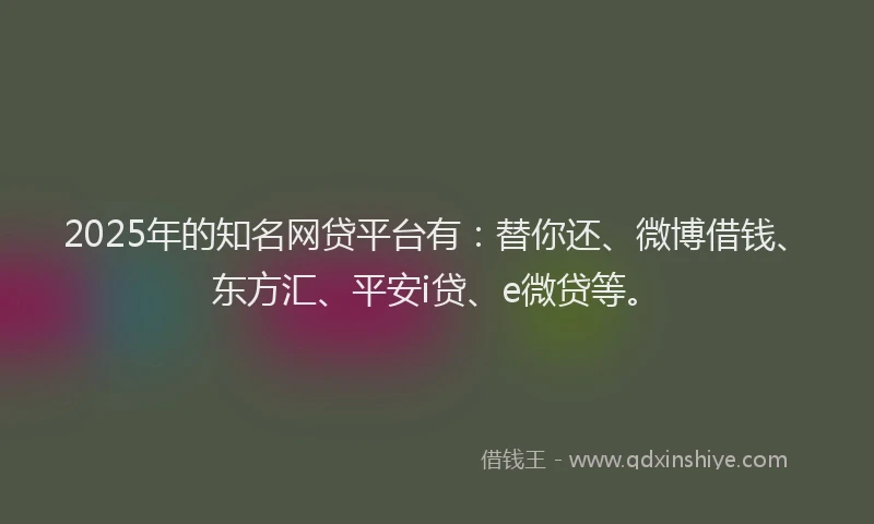 2025年的知名网贷平台有：替你还、微博借钱、东方汇、平安i贷、e微贷等。