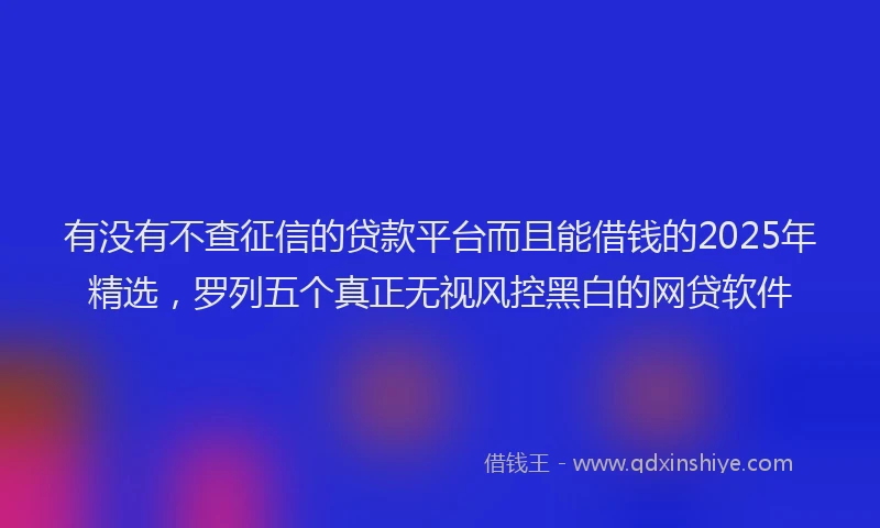 有没有不查征信的贷款平台而且能借钱的2025年精选，罗列五个真正无视风控黑白的网贷软件