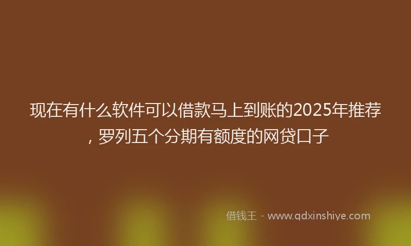 现在有什么软件可以借款马上到账的2025年推荐，罗列五个分期有额度的网贷口子
