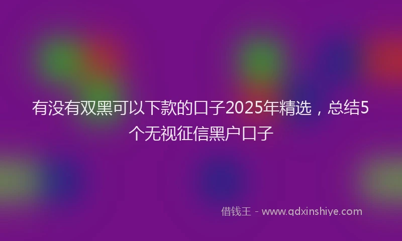 有没有双黑可以下款的口子2025年精选，总结5个无视征信黑户口子