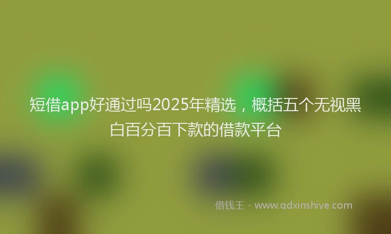 短借app好通过吗2025年精选，概括五个无视黑白百分百下款的借款平台