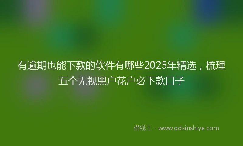 有逾期也能下款的软件有哪些2025年精选，梳理五个无视黑户花户必下款口子