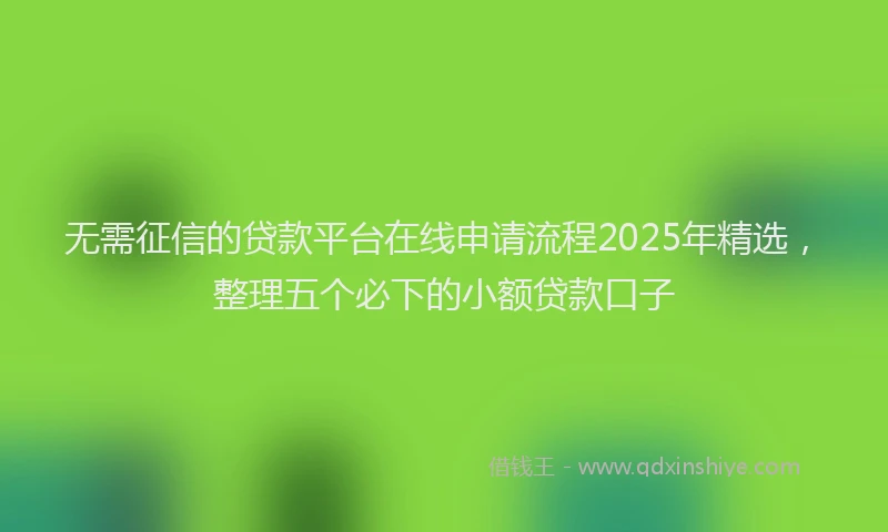 无需征信的贷款平台在线申请流程2025年精选，整理五个必下的小额贷款口子