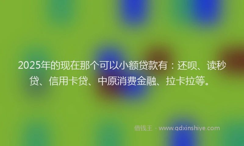 2025年的现在那个可以小额贷款有：还呗、读秒贷、信用卡贷、中原消费金融、拉卡拉等。