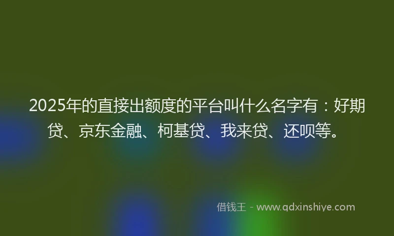 2025年的直接出额度的平台叫什么名字有：好期贷、京东金融、柯基贷、我来贷、还呗等。