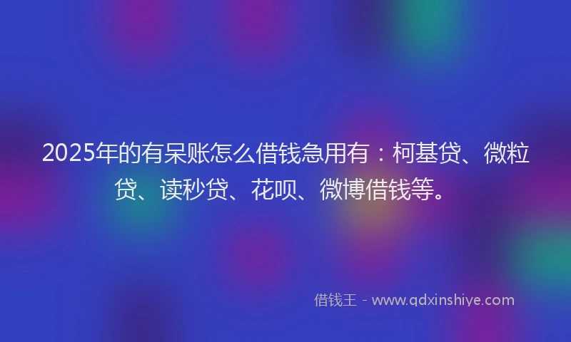 2025年的有呆账怎么借钱急用有：柯基贷、微粒贷、读秒贷、花呗、微博借钱等。