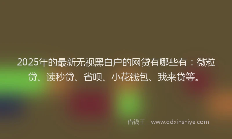 2025年的最新无视黑白户的网贷有哪些有：微粒贷、读秒贷、省呗、小花钱包、我来贷等。