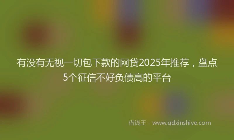 有没有无视一切包下款的网贷2025年推荐，盘点5个征信不好负债高的平台