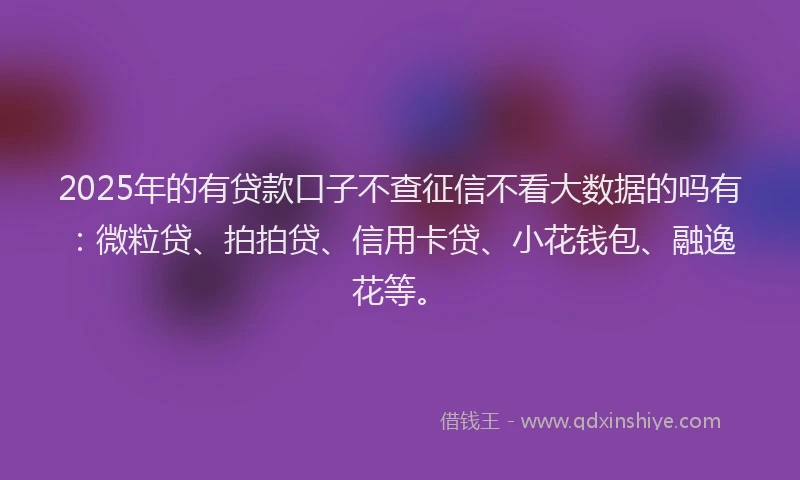 2025年的有贷款口子不查征信不看大数据的吗有：微粒贷、拍拍贷、信用卡贷、小花钱包、融逸花等。