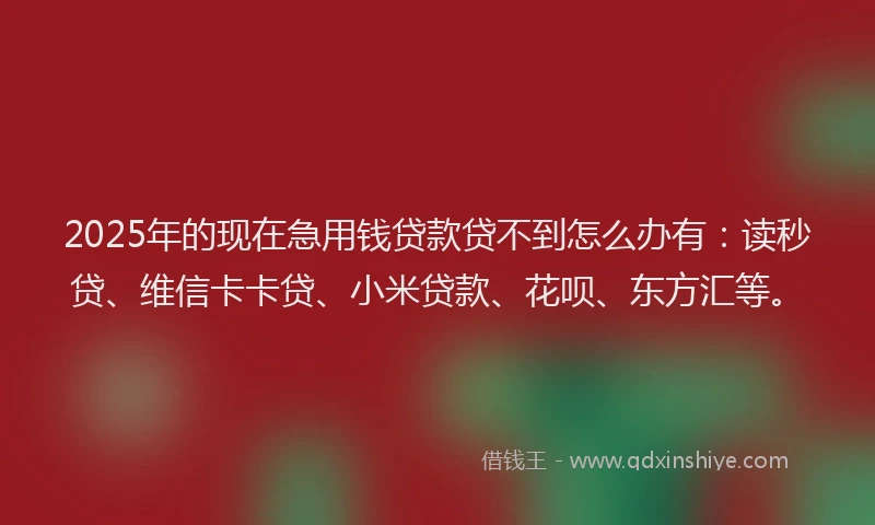 2025年的现在急用钱贷款贷不到怎么办有：读秒贷、维信卡卡贷、小米贷款、花呗、东方汇等。