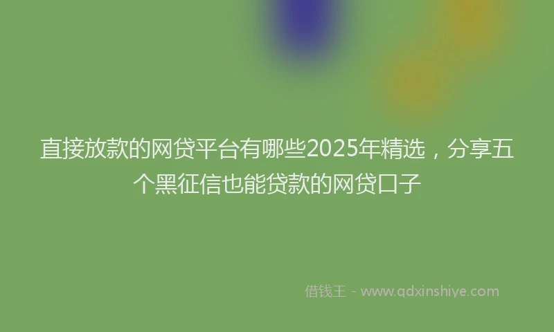 直接放款的网贷平台有哪些2025年精选，分享五个黑征信也能贷款的网贷口子