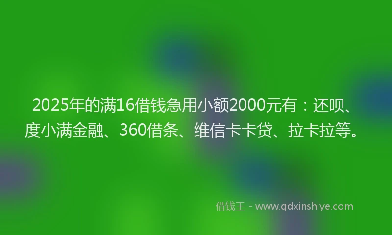 2025年的满16借钱急用小额2000元有：还呗、度小满金融、360借条、维信卡卡贷、拉卡拉等。