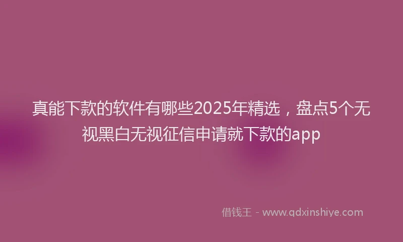 真能下款的软件有哪些2025年精选，盘点5个无视黑白无视征信申请就下款的app