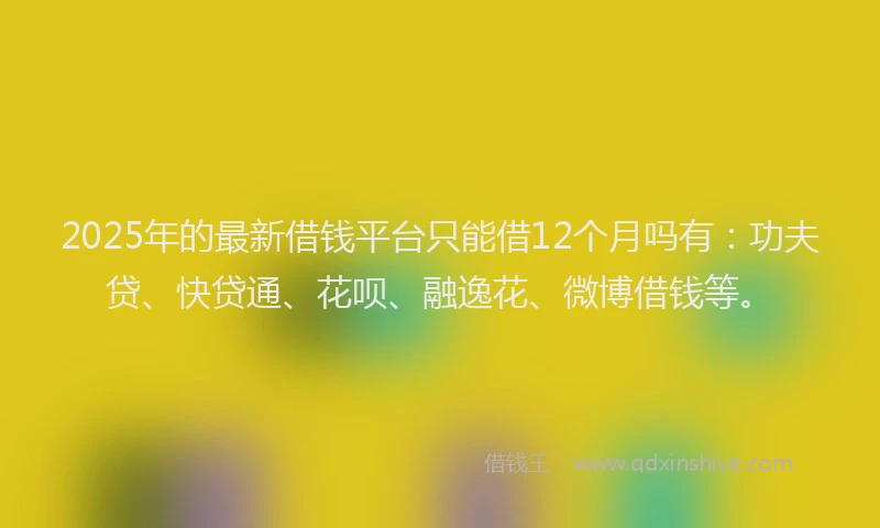 2025年的最新借钱平台只能借12个月吗有：功夫贷、快贷通、花呗、融逸花、微博借钱等。