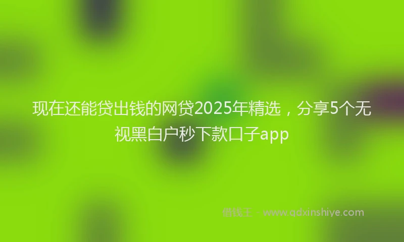 现在还能贷出钱的网贷2025年精选，分享5个无视黑白户秒下款口子app
