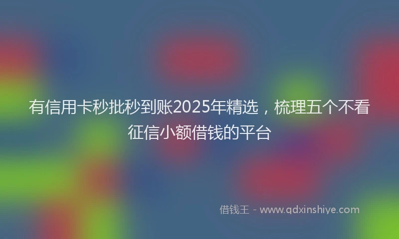 有信用卡秒批秒到账2025年精选，梳理五个不看征信小额借钱的平台