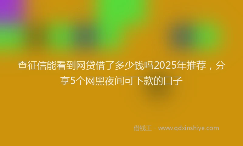 查征信能看到网贷借了多少钱吗2025年推荐，分享5个网黑夜间可下款的口子