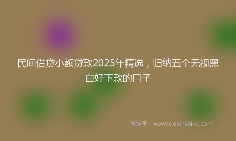 民间借贷小额贷款2025年精选，归纳五个无视黑白好下款的口子