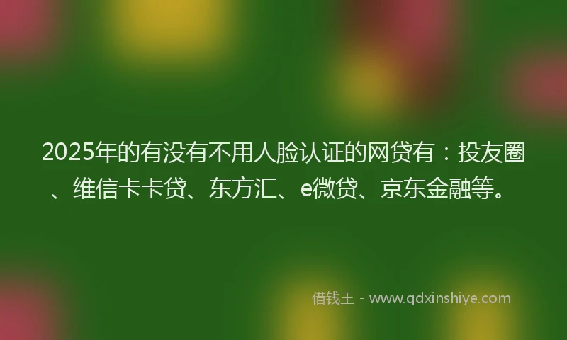 2025年的有没有不用人脸认证的网贷有：投友圈、维信卡卡贷、东方汇、e微贷、京东金融等。